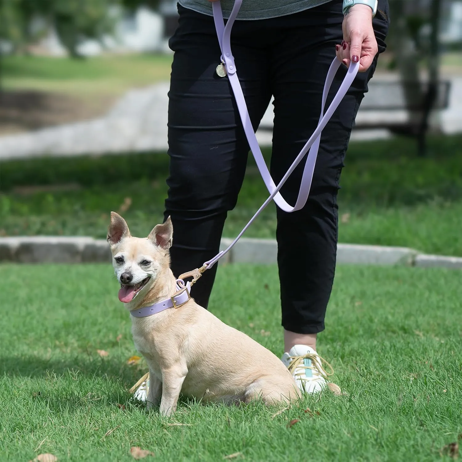 6ft Dog Leash, Collar, Poop Bag Dispenser & Bags. Waterproof, Heavy Duty Nylon PVC. Medium, Blue