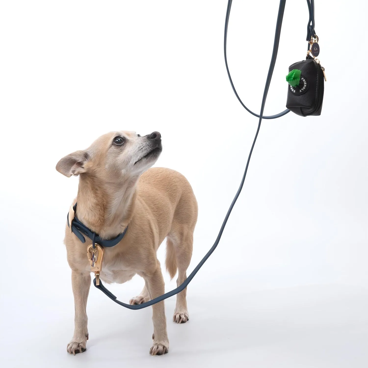 6ft Dog Leash, Collar, Poop Bag Dispenser & Bags. Waterproof, Heavy Duty Nylon PVC. Medium, Blue