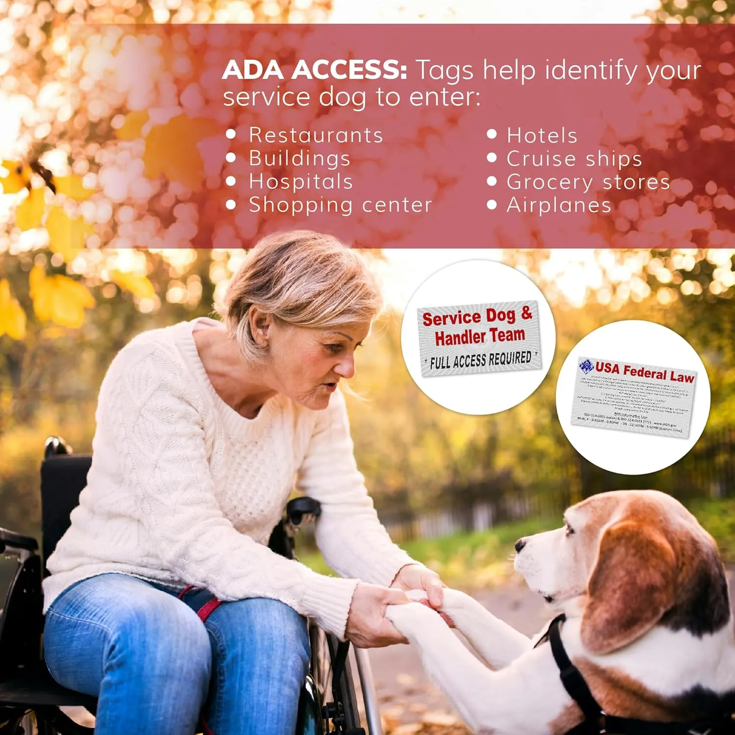 ActiveDogs Service Dog Vest Harness   Clip-on Bridge Sturdy Handle   ID Card Carrier   ADA Cards   Reflective Service Dog Patches - Extra Small Service Dog Harness Vest XS Dogs (Girth 16-20) Red