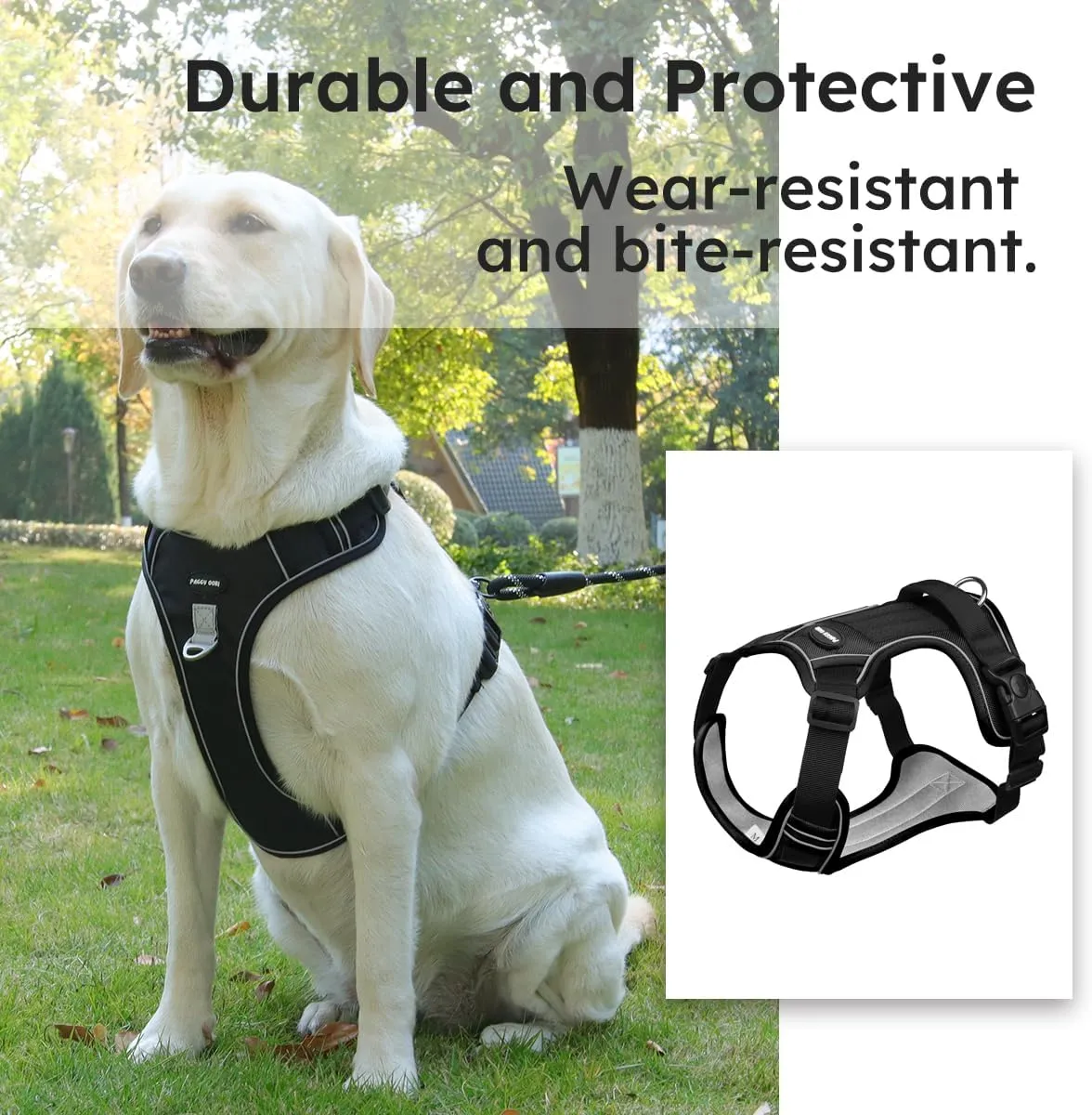 Adjustable Oxford Dog Harness No Pull and Leash Set Walking Pet Harness with Easy Control Handle for Lifting No Choke Front Clip Reflective Dog Vest 2 Leash Hooks Escape Proof (Black, L)
