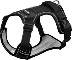 Adjustable Oxford Dog Harness No Pull and Leash Set Walking Pet Harness with Easy Control Handle for Lifting No Choke Front Clip Reflective Dog Vest 2 Leash Hooks Escape Proof (Black, L)