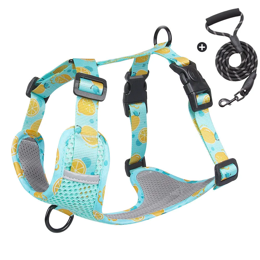 Aittle Fruit Print Mesh Dog Harness