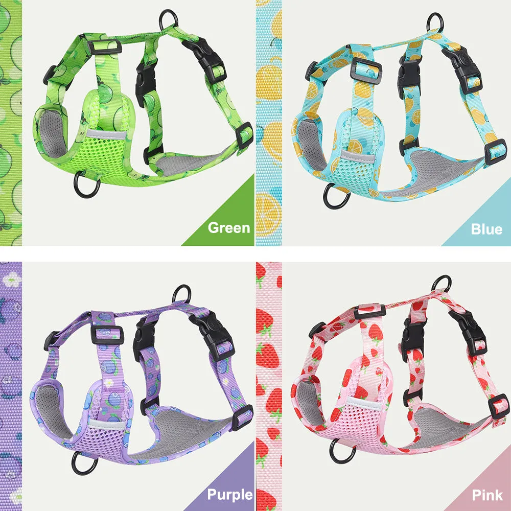 Aittle Fruit Print Mesh Dog Harness