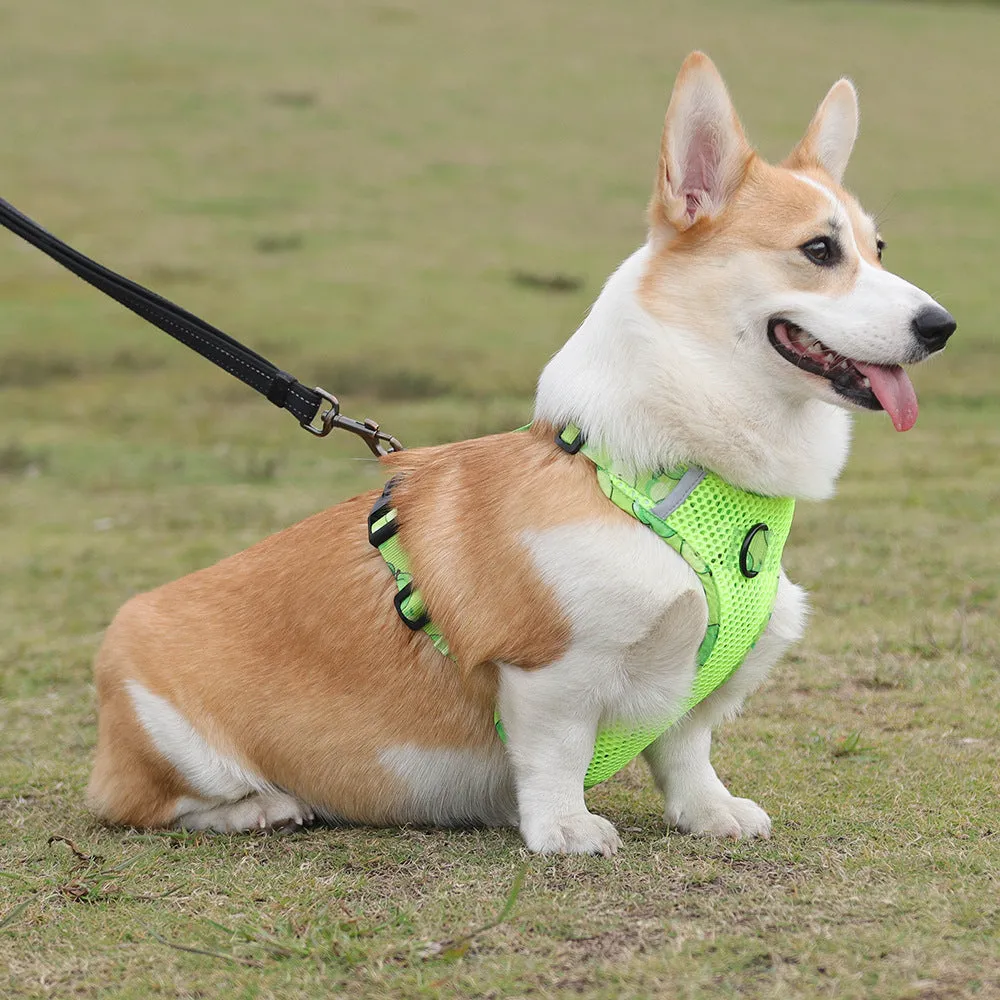Aittle Fruit Print Mesh Dog Harness