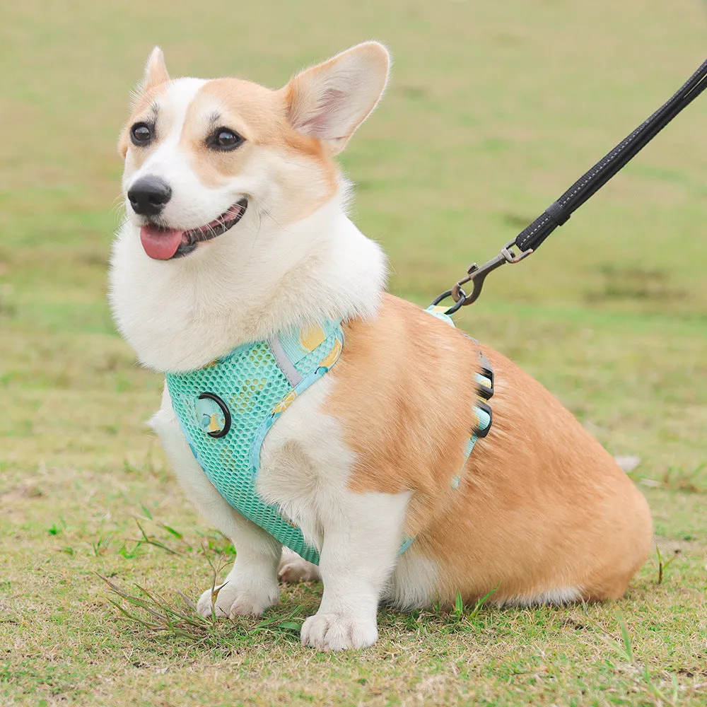 Aittle Fruit Print Mesh Dog Harness