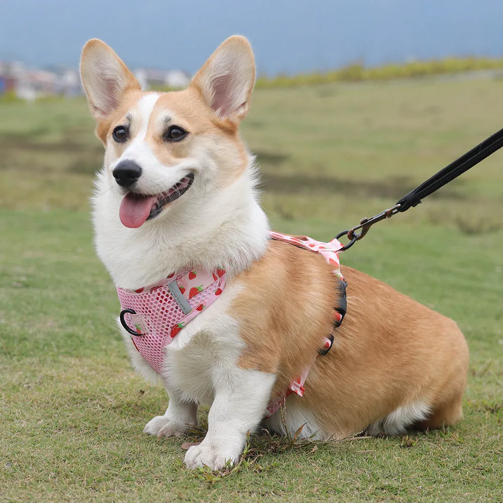 Aittle Fruit Print Mesh Dog Harness