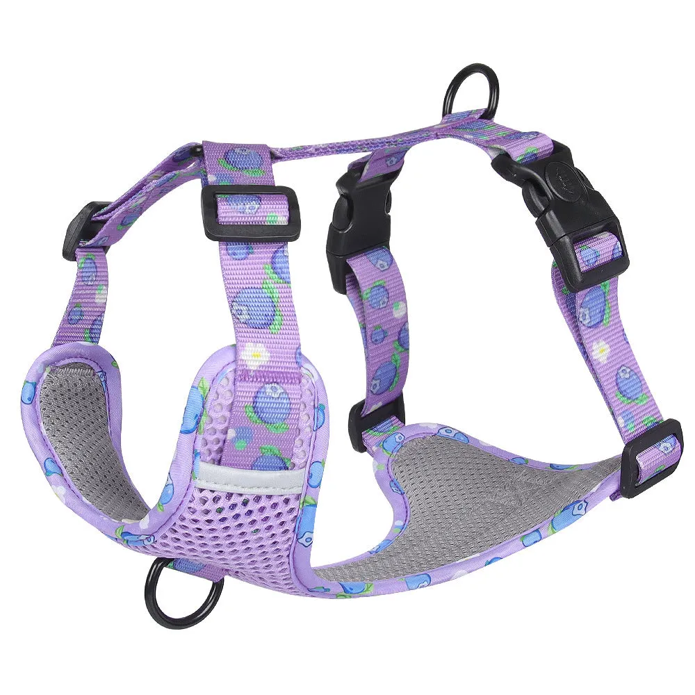 Aittle Fruit Print Mesh Dog Harness