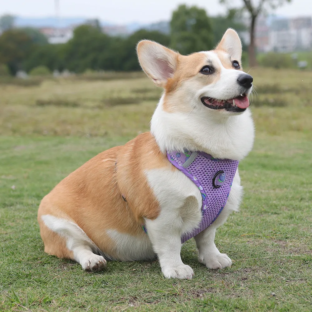 Aittle Fruit Print Mesh Dog Harness