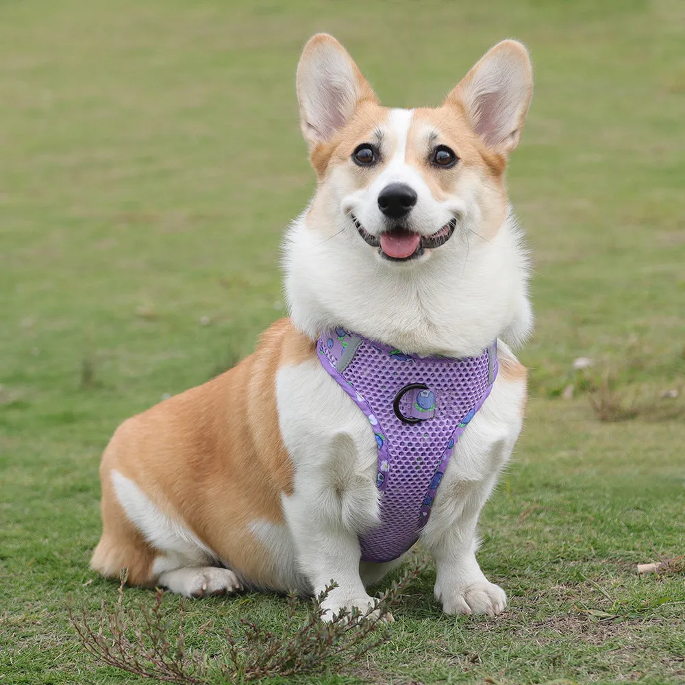 Aittle Fruit Print Mesh Dog Harness
