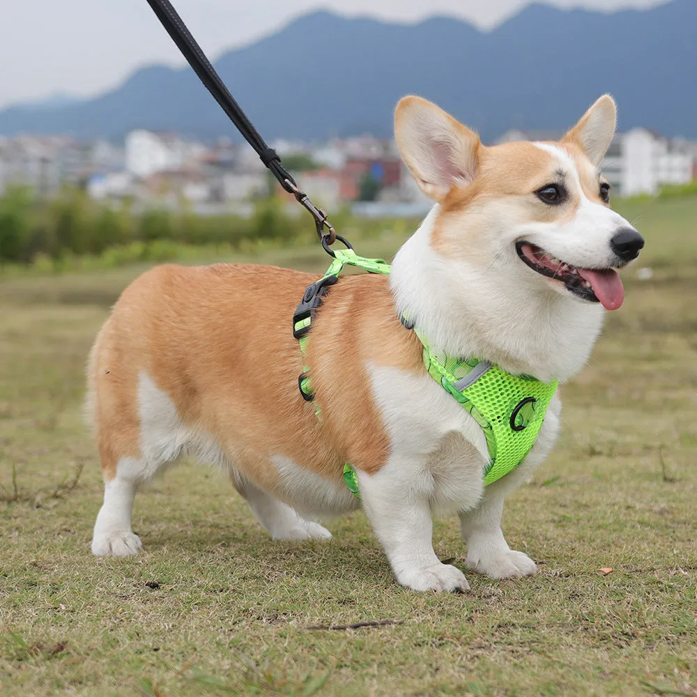 Aittle Fruit Print Mesh Dog Harness