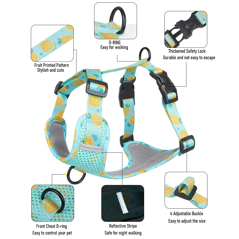 Aittle Fruit Print Mesh Dog Harness