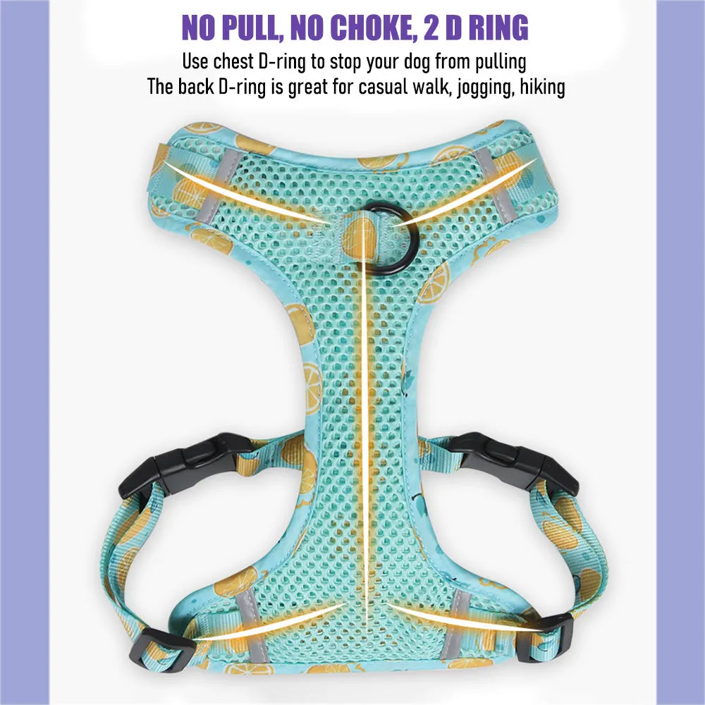 Aittle Fruit Print Mesh Dog Harness