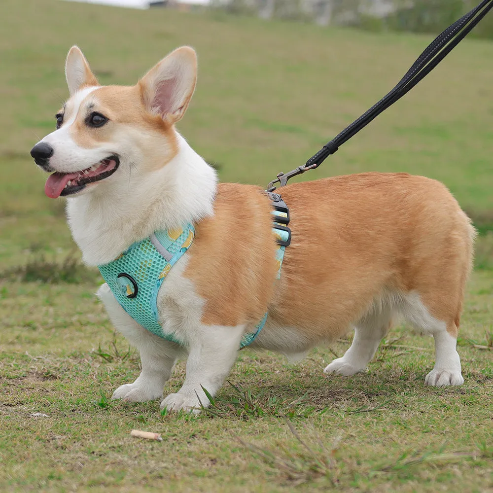 Aittle Fruit Print Mesh Dog Harness