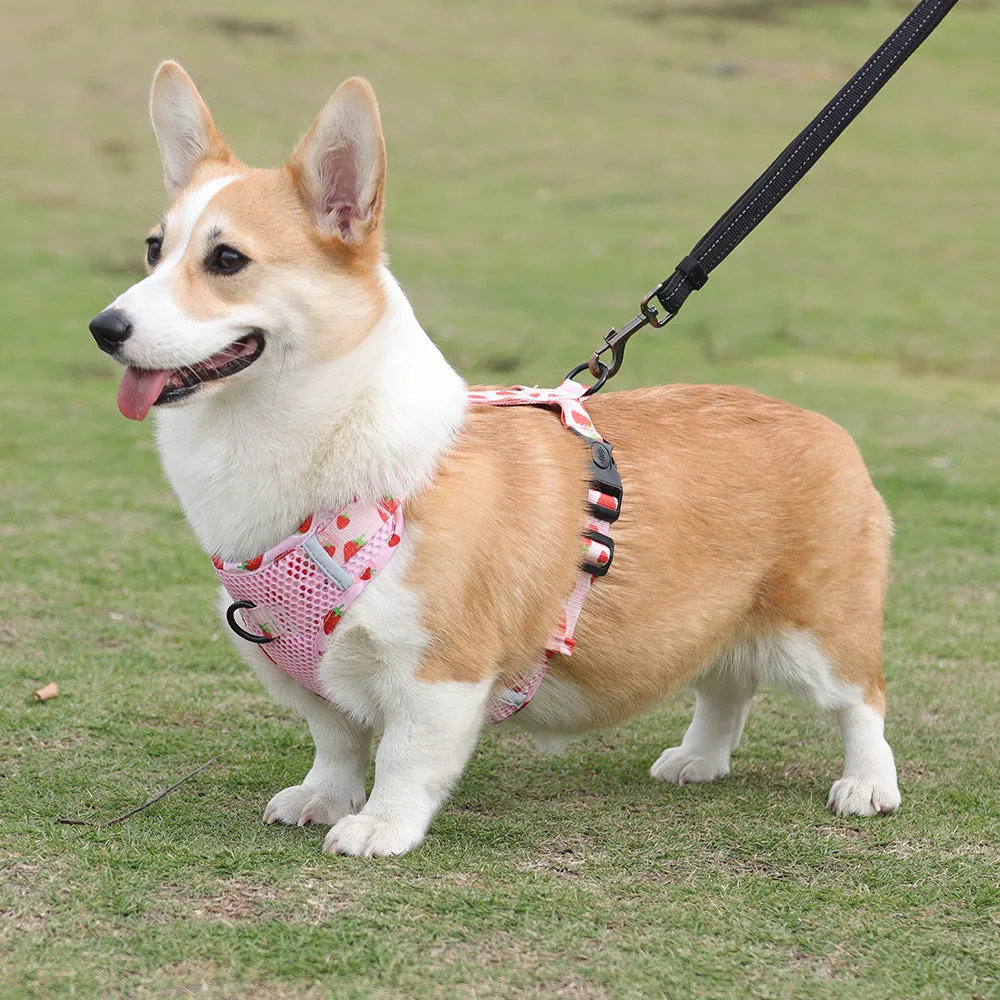 Aittle Fruit Print Mesh Dog Harness
