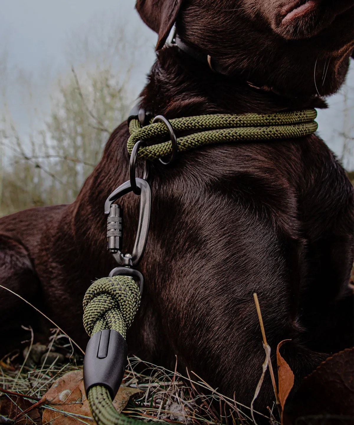 Alpine Leash - Hunter Green