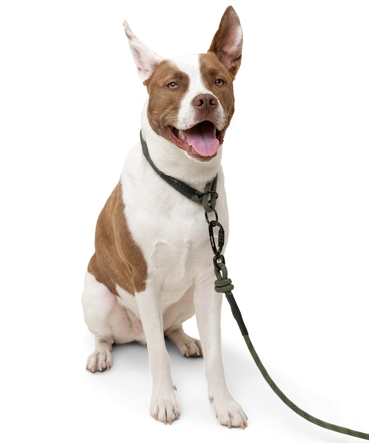 Alpine Leash - Hunter Green