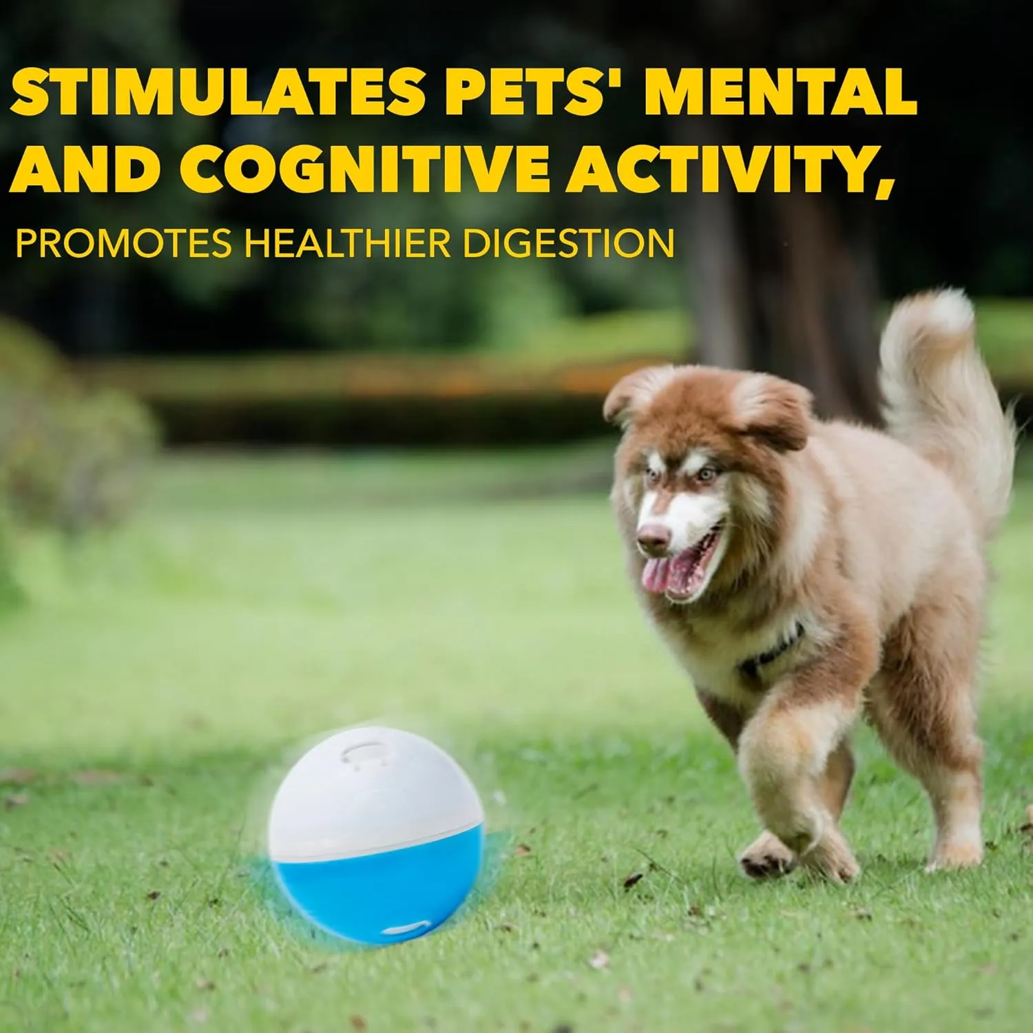 amicus Mini- Treat Dispensing Pets Toys Crazy Ball - PetsTreat Ball, Interactive Dog Feeder, Enrichment Toy for Pets Treat Dispensing, Interactive Pets Toys - Adjustable - Blue&White, 100g/3.5 oz