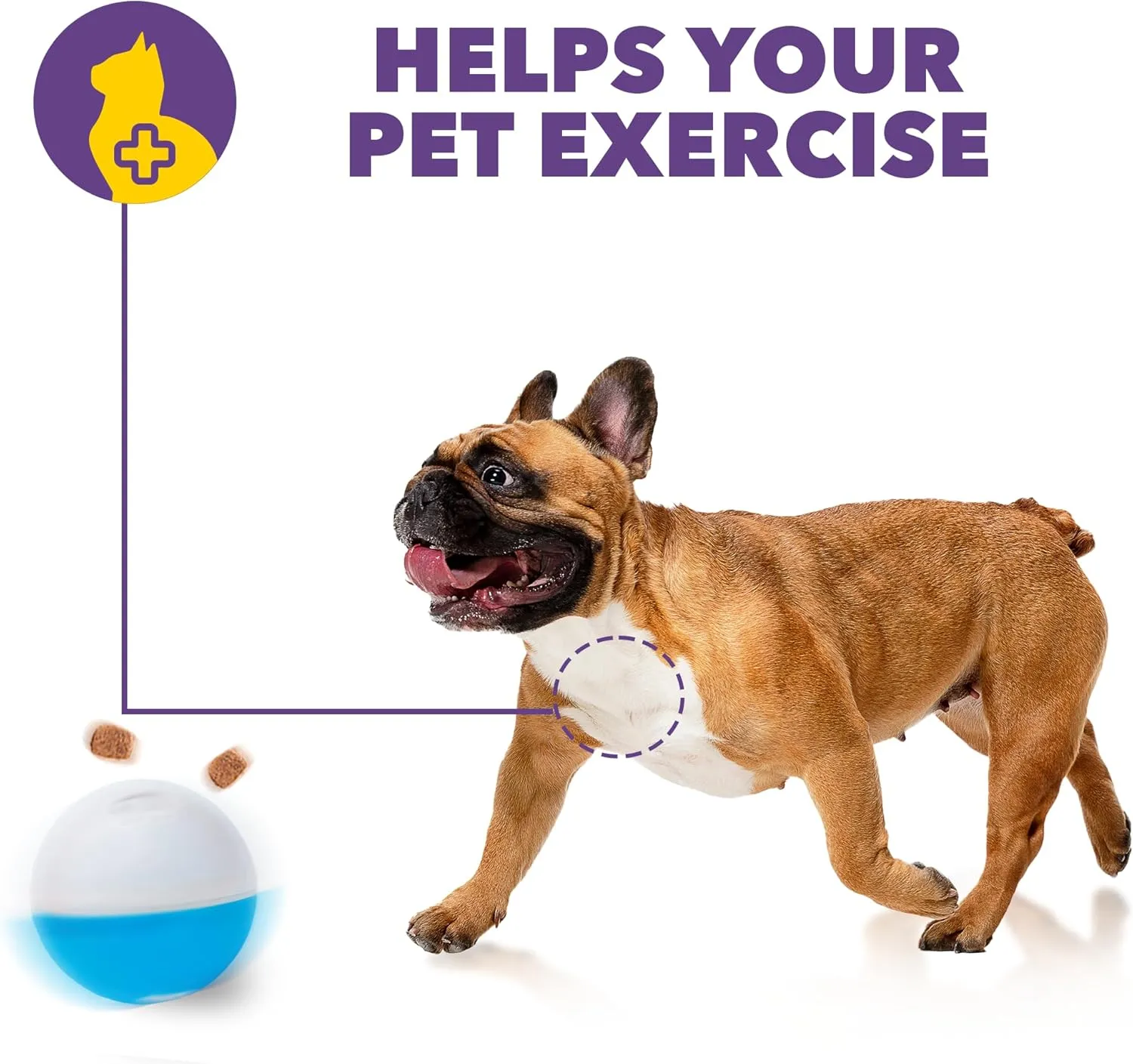 amicus Mini- Treat Dispensing Pets Toys Crazy Ball - PetsTreat Ball, Interactive Dog Feeder, Enrichment Toy for Pets Treat Dispensing, Interactive Pets Toys - Adjustable - Blue&White, 100g/3.5 oz