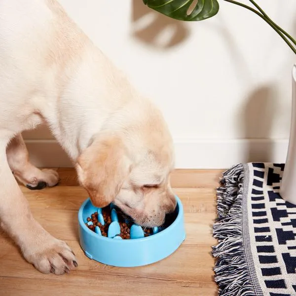 Anti Choke Pet Food Bowl