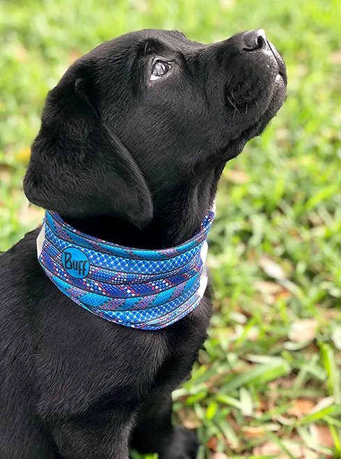 Buff Dog Neckwear Rainbow M/L