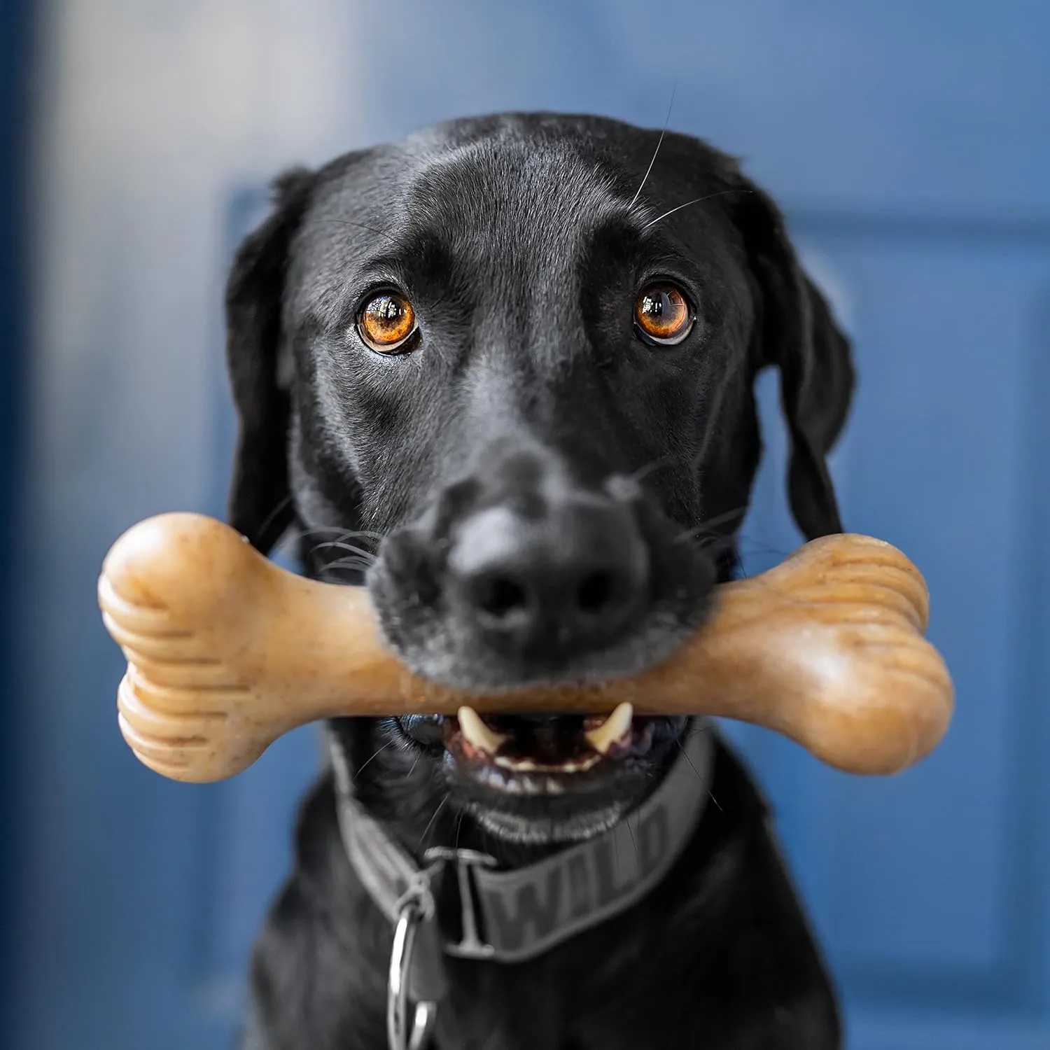 Bulkster Durable Chew Toy for Aggressive Chewers, Real Beef, Made in USA, Large