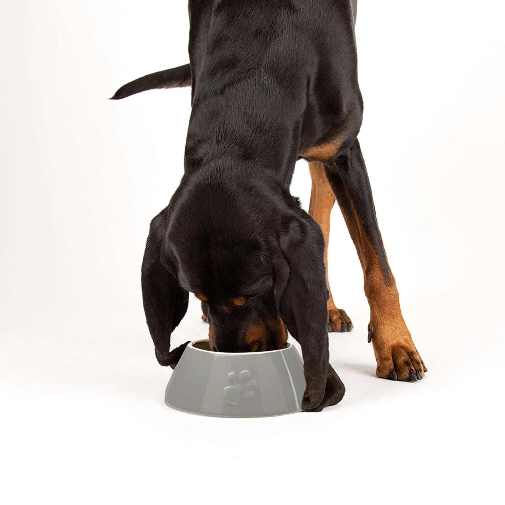 Ceramic Icon Long Eared Dog Food & Water Bowl