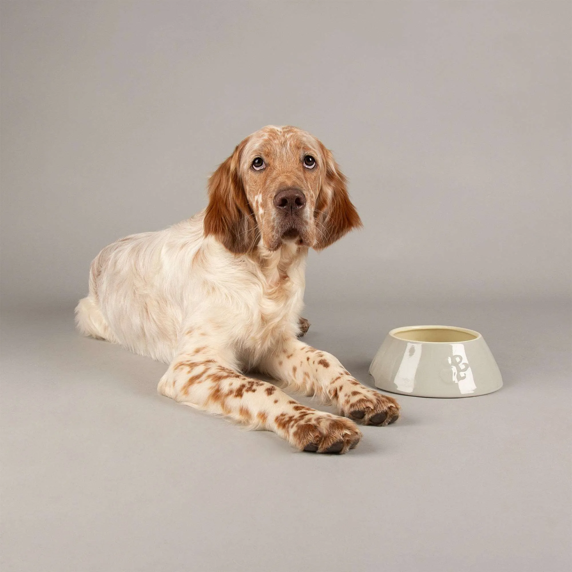 Ceramic Icon Long Eared Dog Food & Water Bowl