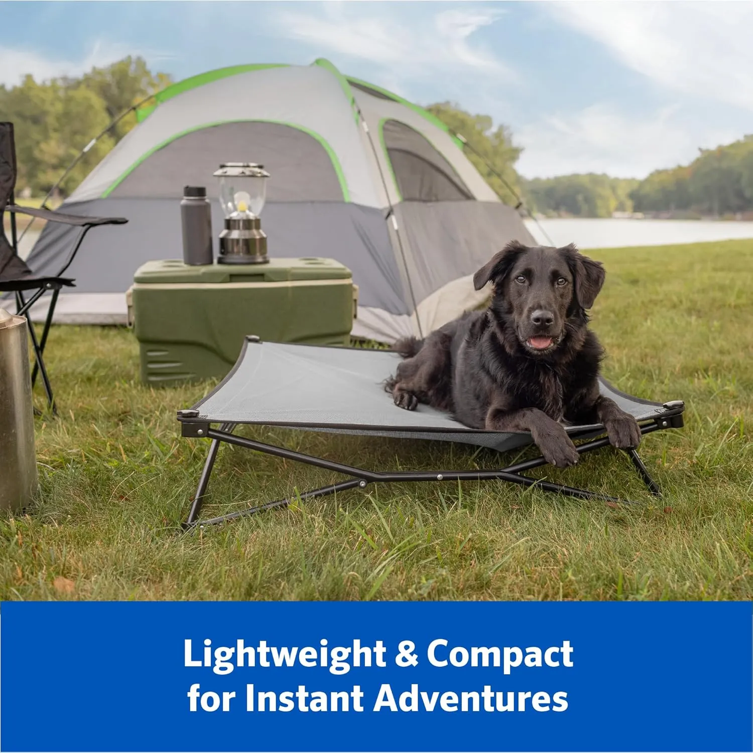 Coolaroo On-The-Go Elevated Dog Bed Kit  Portable & Cooling Travel Cot with HeatShield Fabric for Large Dogs, Lightweight & Compact, Includes Matching Carry Bag & Pacific Blue Bonus Cover, Large