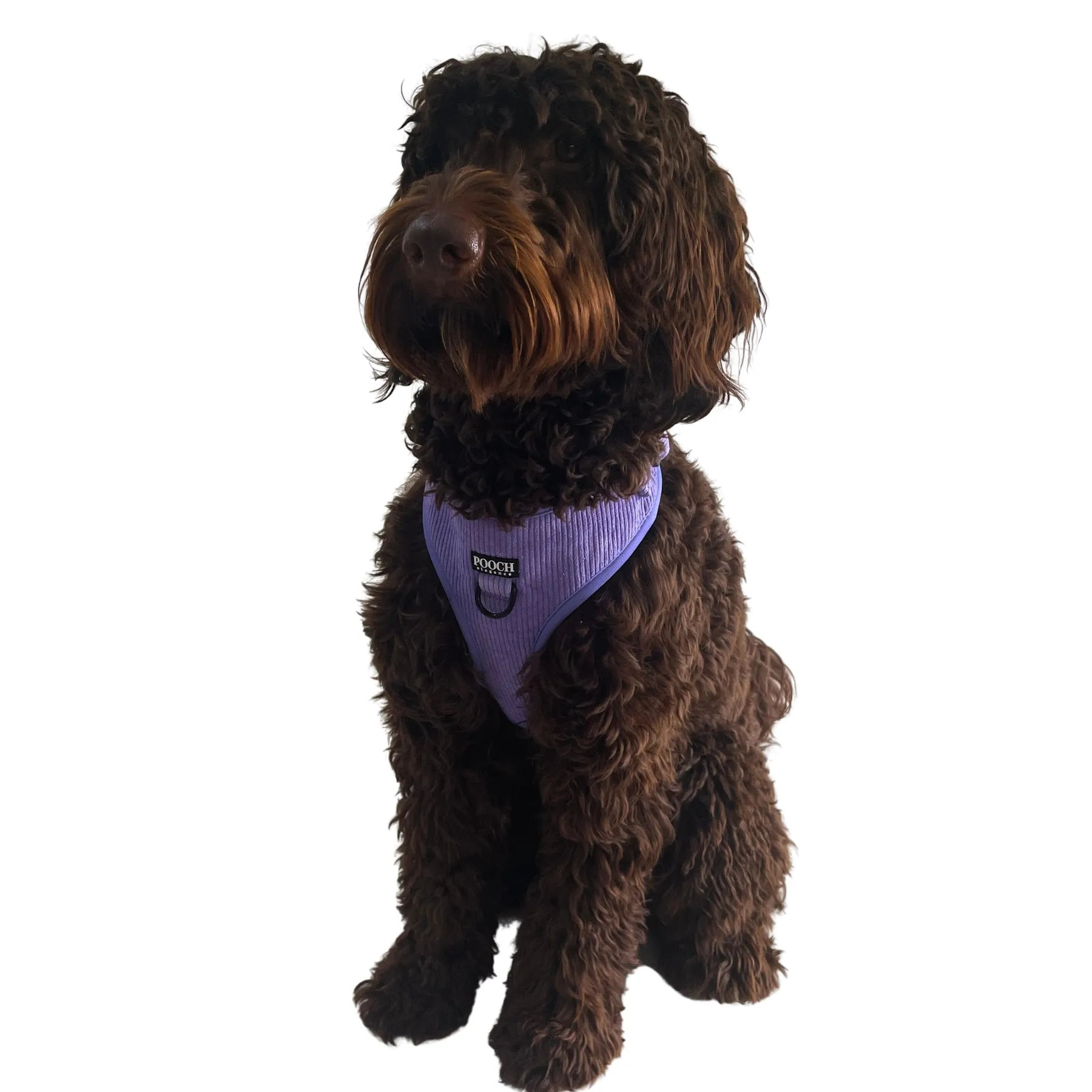 Corduroy Adjustable Harness - Dusty Purple