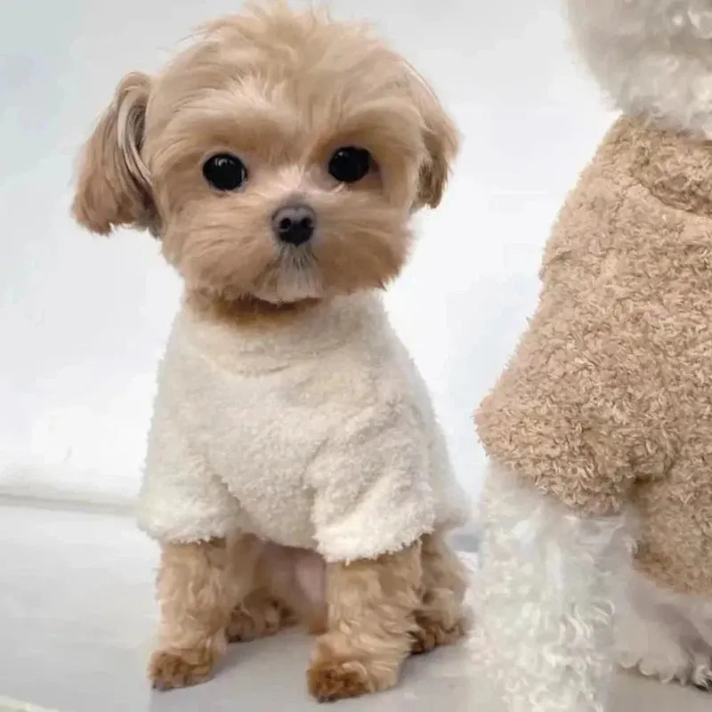 Cozy Winter Dog Sweater for Small to Medium Dogs