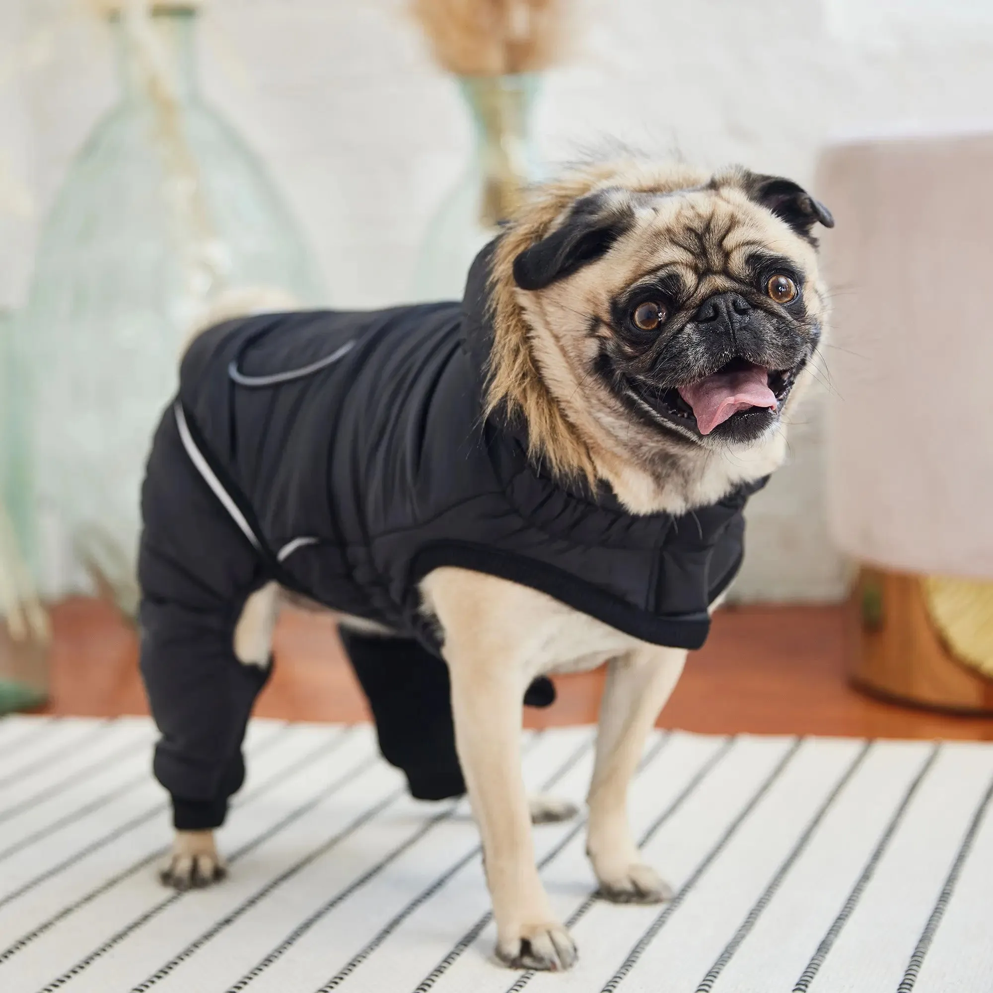 Creekside Dog Snowsuit | Black