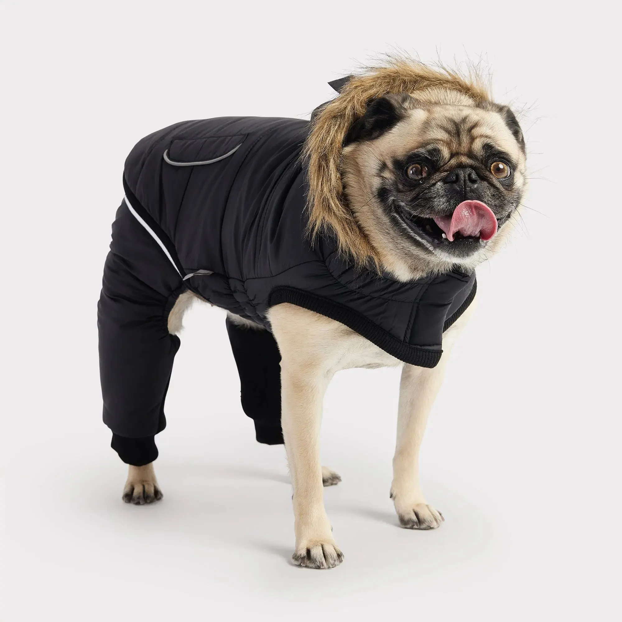 Creekside Dog Snowsuit | Black