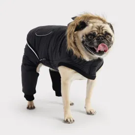 Creekside Dog Snowsuit | Black