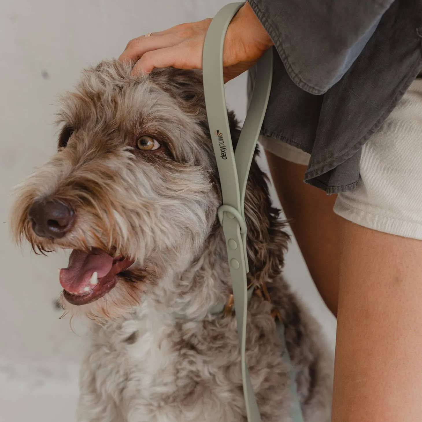 Dexypaws WaterProof Dog Leash