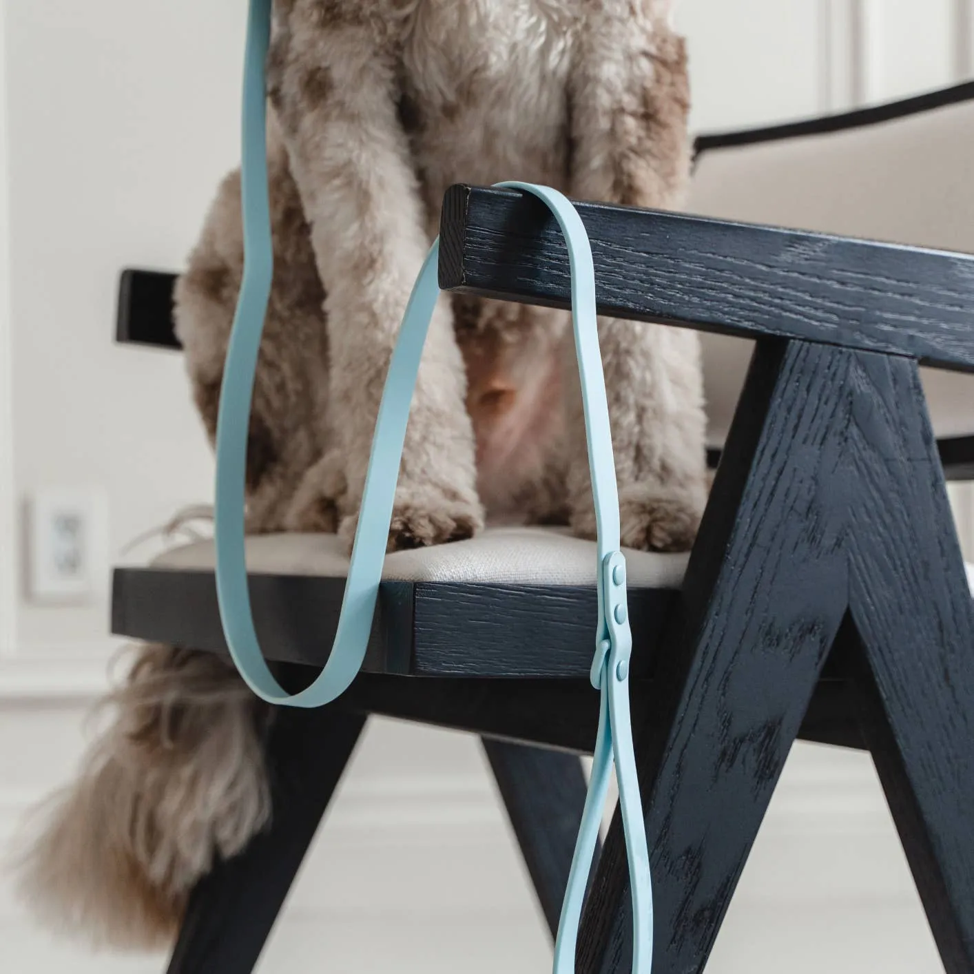 Dexypaws WaterProof Dog Leash
