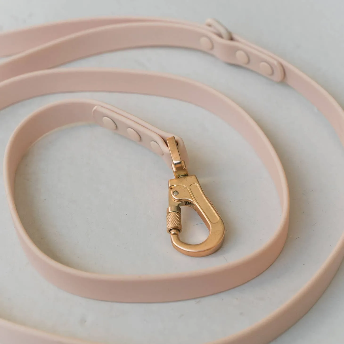Dexypaws WaterProof Dog Leash
