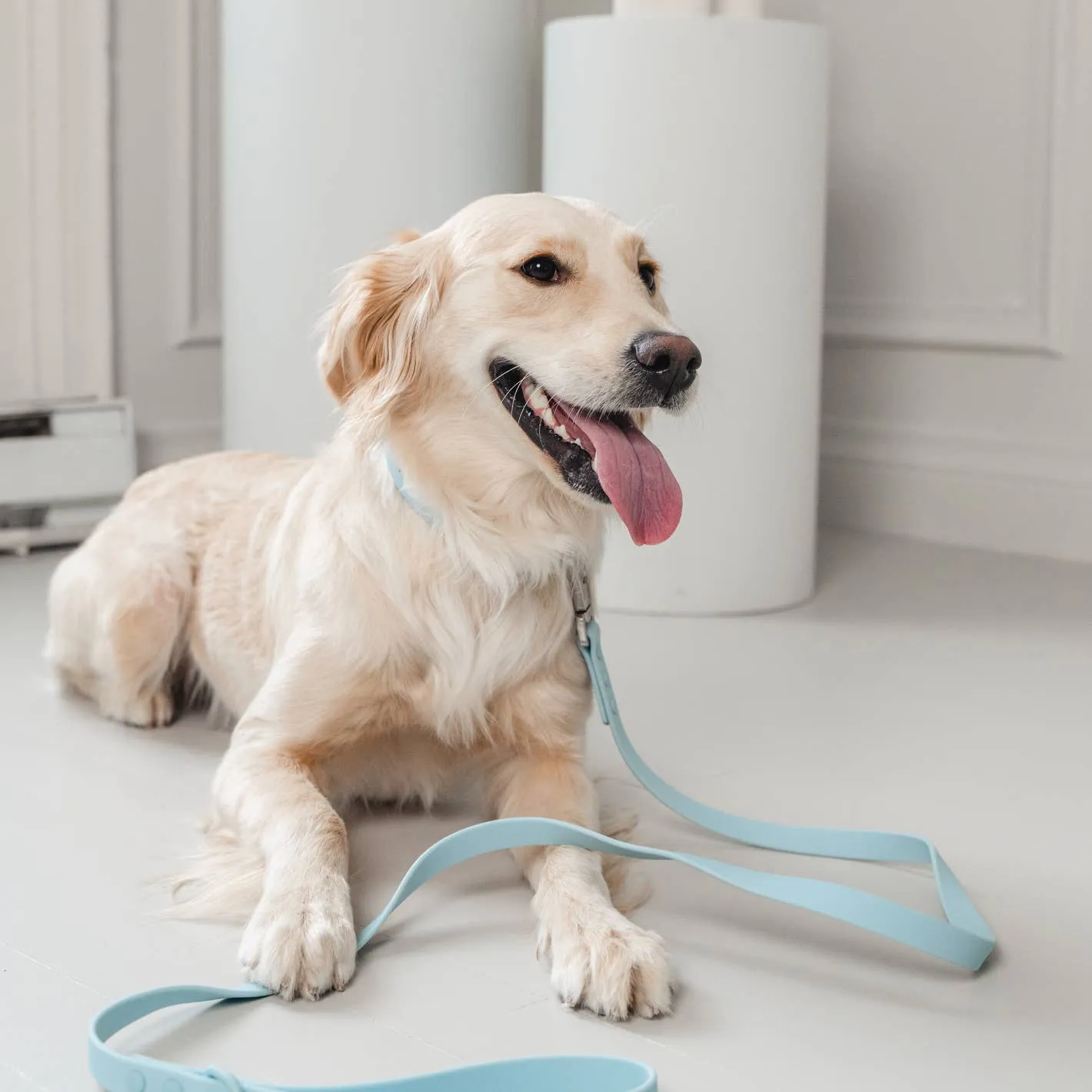 Dexypaws WaterProof Dog Leash
