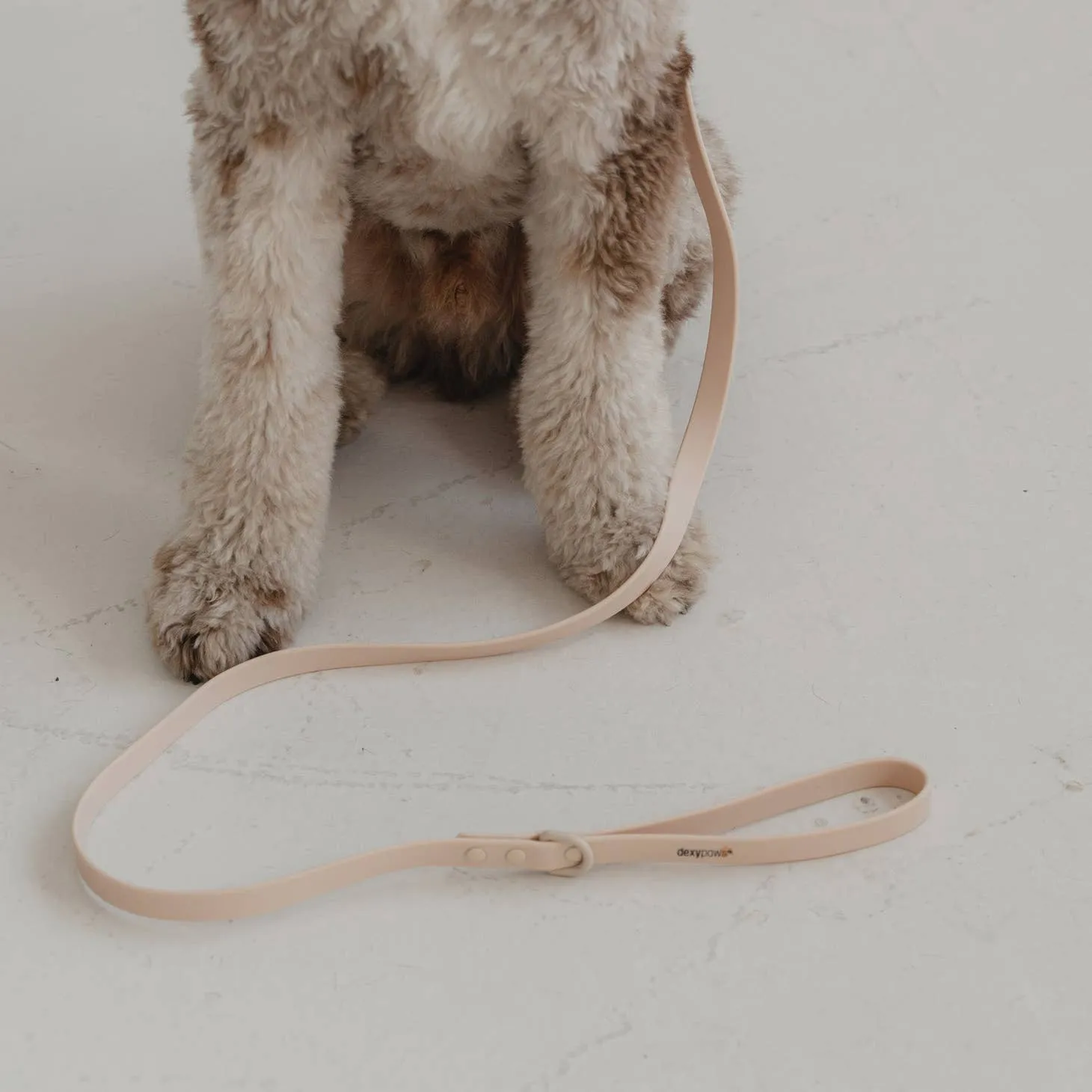 Dexypaws WaterProof Dog Leash