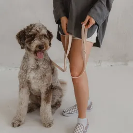 Dexypaws WaterProof Dog Leash