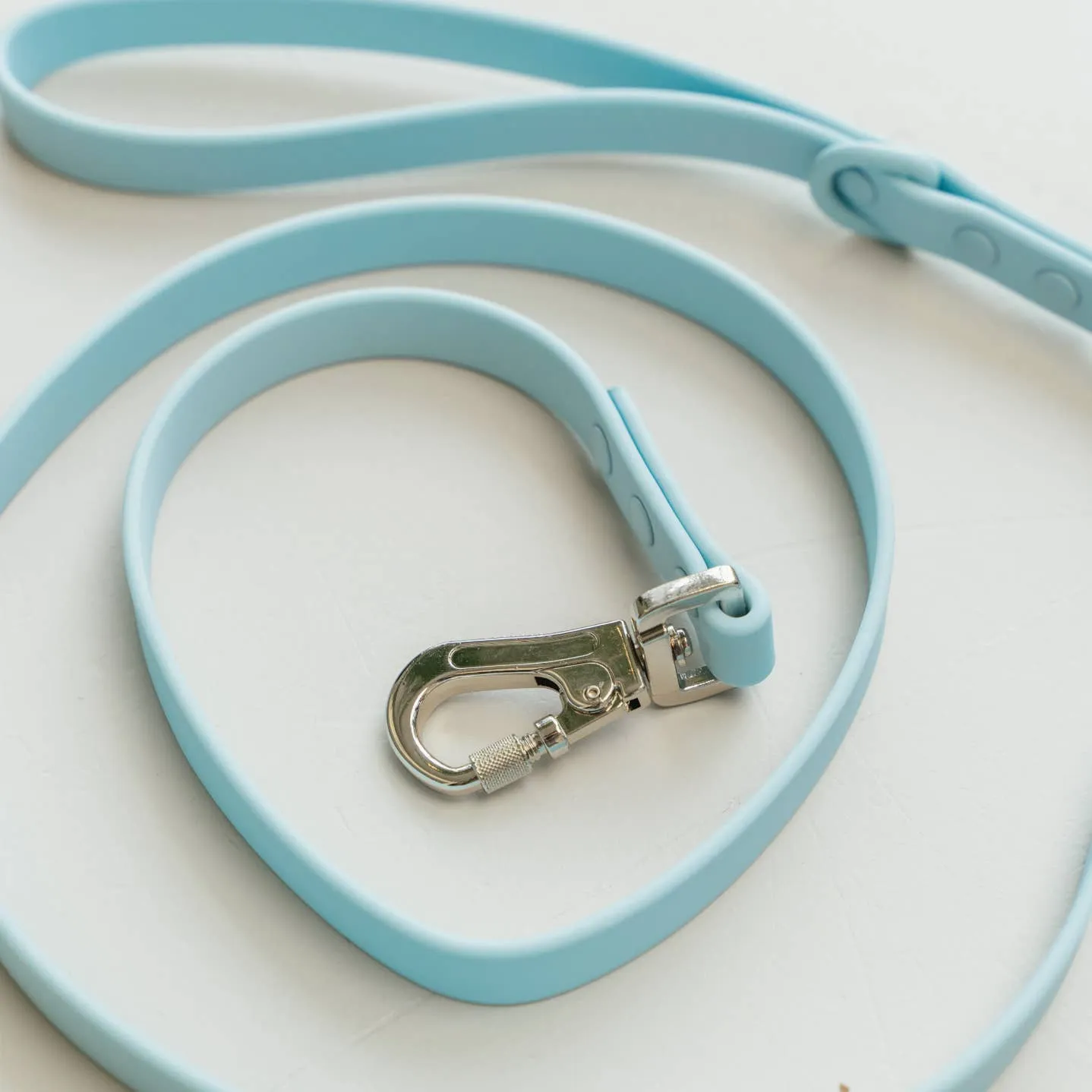 Dexypaws WaterProof Dog Leash