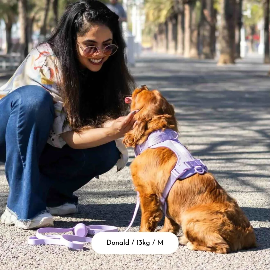 Dog Harness