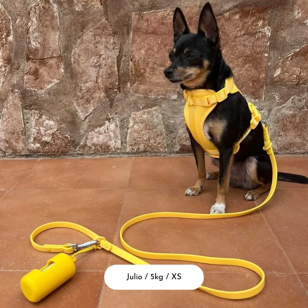 Dog Harness