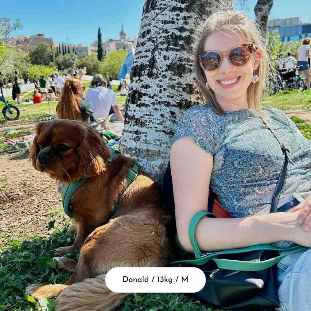 Dog Harness