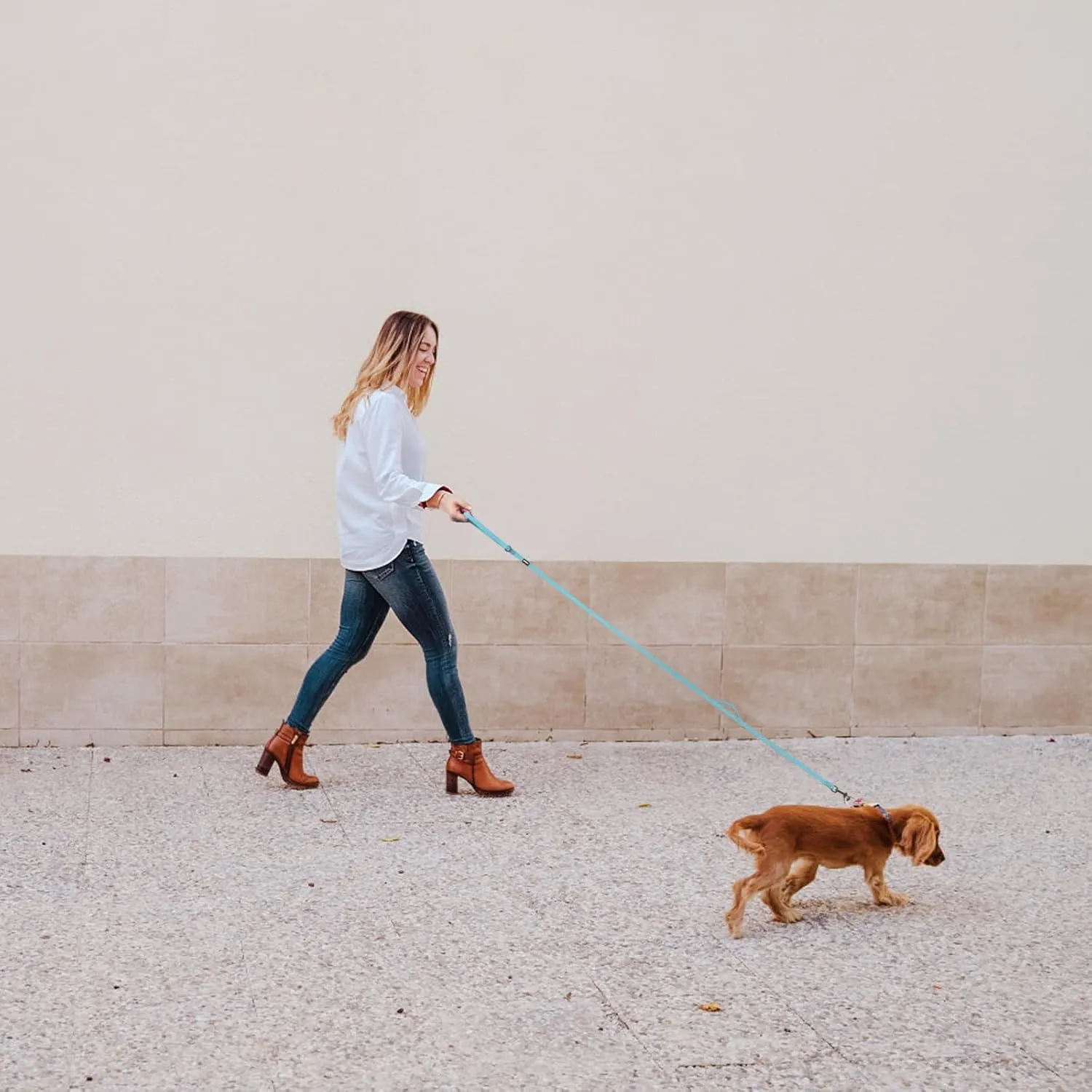 Dog Leash with Electroplated Black Hardware, Lightweight Dog Leash with Traffic Handle, 6FT Waterproof Blue Dog Leash Coated with Durable and Odor Free Material for Small and Medium Dogs