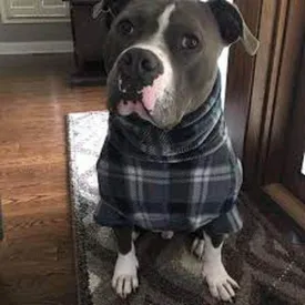 Dog sweater Large size