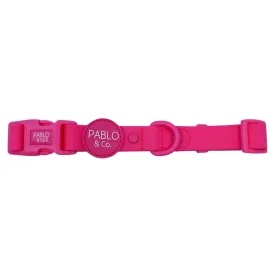 Dragonfruit Waterproof Collar
