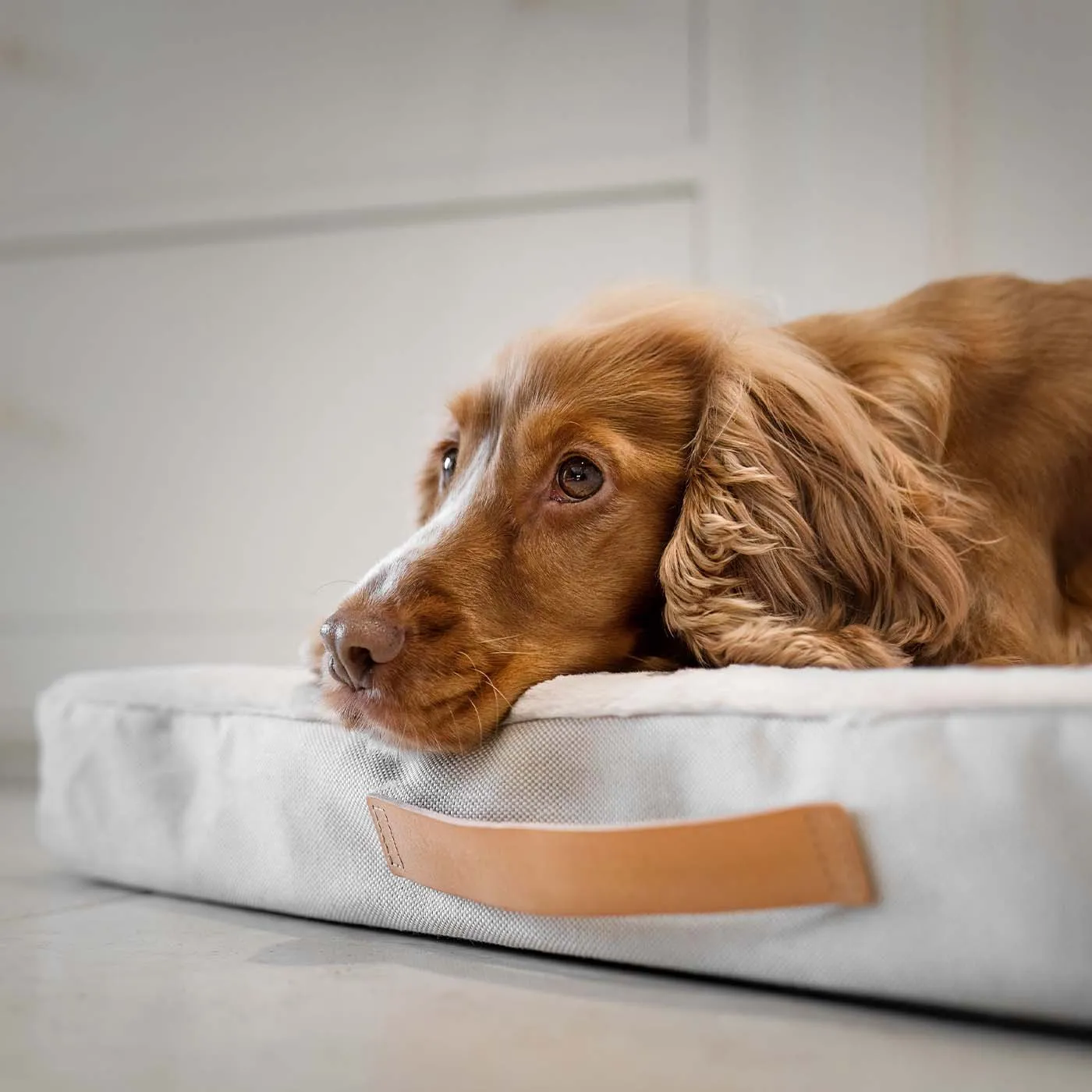 Essentials Twill Orthopaedic Mattress in Linen by Lords & Labradors