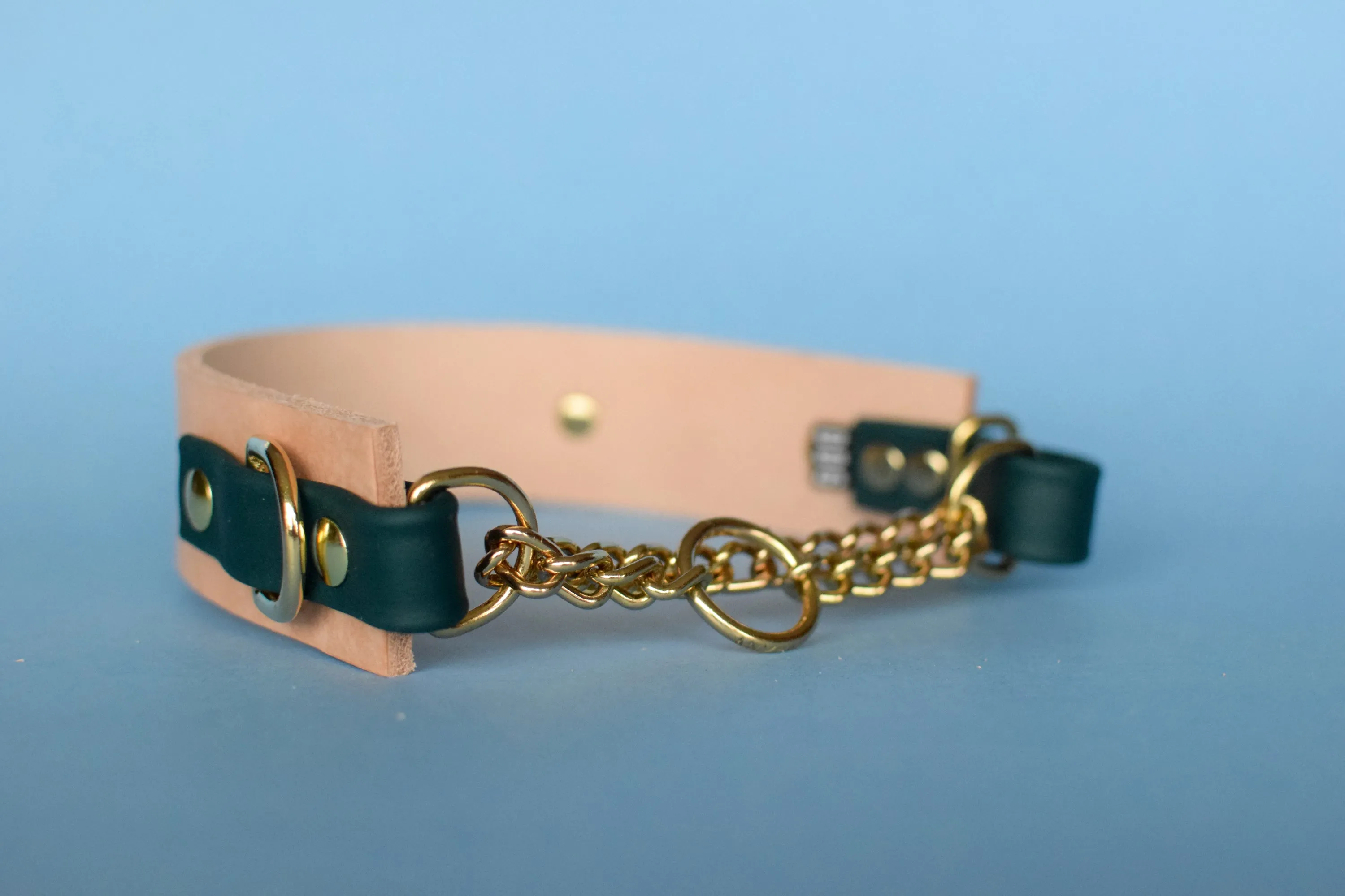 EXCLUSIVE LEATHER COLLECTION - Natural Tan & Forest, Limited Edition Biothane and Leather Combo Martingale Dog Collar
