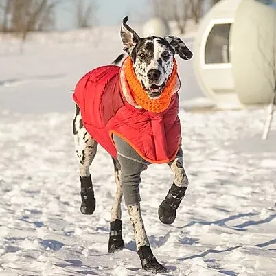 Fleece Dog Shirt