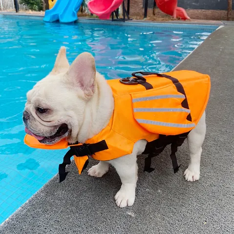 FloatPro French Bulldog Life Swimming Vest